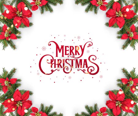 Foto de Feliz texto de Navidad con marco de ramas de abeto y flores rojas festivas sobre fondo blanco. Feliz Año Nuevo y Navidad, vista superior, bandera ancha - Imagen libre de derechos