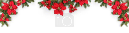 Photo for Merry Christmas frame made of fir branches and holiday red flowers on white background. Happy New Year and Xmas, top view, wide banner - Royalty Free Image