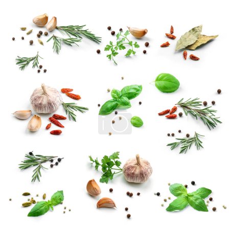 Photo for Set of fresh green herbs and spices isolated on white background, tomatoes, basil leaf, bay leaf, black pepper, rosemary, cardamom, cilantro, garlic, top view - Royalty Free Image