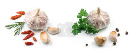Photo for Fresh garlic and spices isolated on white background, pepper, rosemary, parsley, garlic cloves, top view - Royalty Free Image