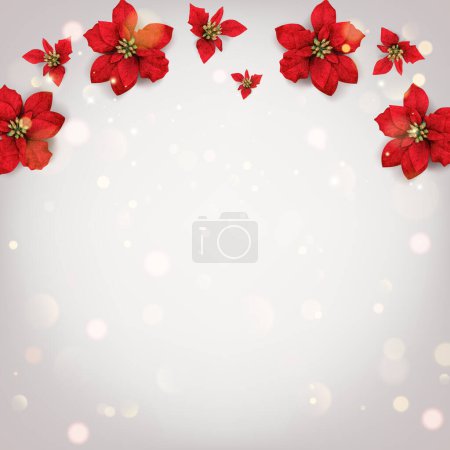 Ilustración de Feliz Navidad y Año Nuevo tarjeta con flores rojas de Navidad poinsettia sobre fondo blanco con brillo, bokeh. Tarjeta de vacaciones. Ilustración vectorial - Imagen libre de derechos