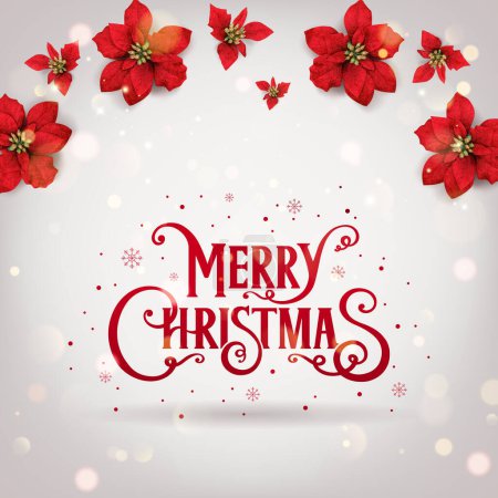 Ilustración de Feliz Navidad y Año Nuevo tarjeta con flores rojas de Navidad poinsettia sobre fondo blanco con brillo, bokeh. Tarjeta de vacaciones. Ilustración vectorial - Imagen libre de derechos