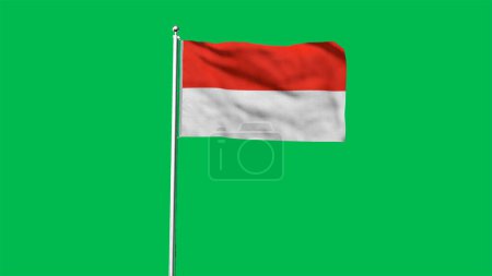 Alta bandera detallada de Indonesia. Bandera nacional de Indonesia. Asia. Ilustración 3D.
