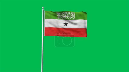 Hohe detaillierte Flagge Somalilands. Nationalflagge Somalilands. 3D-Illustration.
