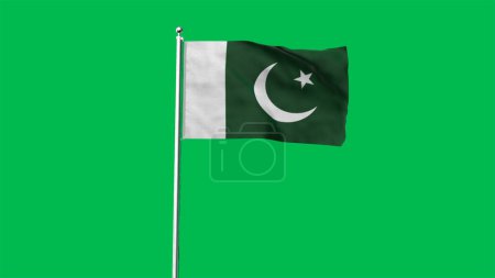 Photo for High detailed flag of Pakistan. National Pakistan flag. Asia. 3D illustration. - Royalty Free Image