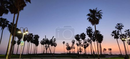 Téléchargez les photos : Venice Beach, Californie, coucher de soleil, palmiers, photographie de plage - en image libre de droit