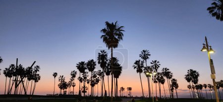 Photo for Venice Beach, California, sunset, palm trees, beach photography - Royalty Free Image