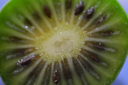 Photo for Macro photography of mini Kiwi - Royalty Free Image