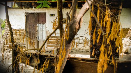 Foto de Antigua casa abandonada en Natagaima - Tolima - Colombia - Imagen libre de derechos