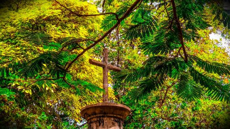 Ramas de árboles en una cruz en el cementerio central de Neiva - Huila - Colombia