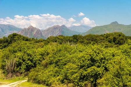 Téléchargez les photos : Belle et imposante chaîne de montagnes dans la zone rurale de Huila - Colombie - en image libre de droit