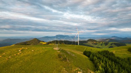 Photo for Idyllic mountain pasture in Austria with a wind power plant and cows - Royalty Free Image