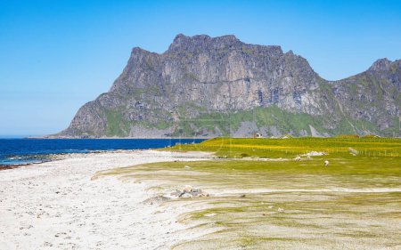 Norwegische Küste mit herrlichem Sandstrand von Uttakleiv auf den Lofoten, Norwegen