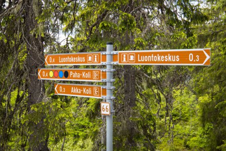 Wegweiser auf einem Wanderweg im Koli Nationalpark in Finnland