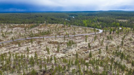 Luftaufnahme von Wäldern in Finnland in der Nähe des Rokua Nationalparks