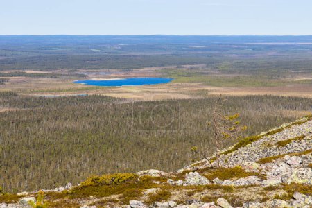 Vue paysage de Laponie, Finlande pendant la saison estivale