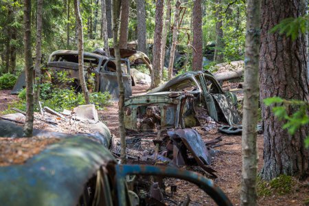 Car cemetery in a forest, spooky place and famous as dark tourism destination