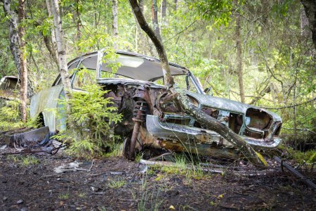 old car abandoned in the woods and rotted away