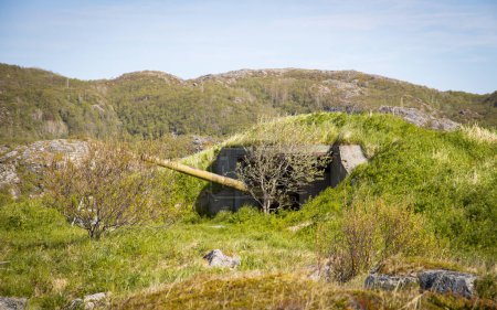 Bunkers pour canons de marine au fort Skrolsvik à l'île Senja en Norvège. Lieu historique de l'ancienne armée allemande de la Seconde Guerre mondiale.