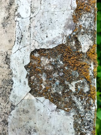Foto de Vista de cerca de la textura surfaace de hormigón sucio. Patrón de grieta y piedra sucia. - Imagen libre de derechos
