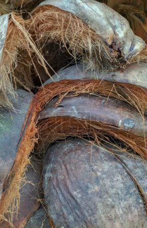 Pile of brown coconut coir husk. The background of coconut fiber, coconut fiber has many benefits. Selective focus.