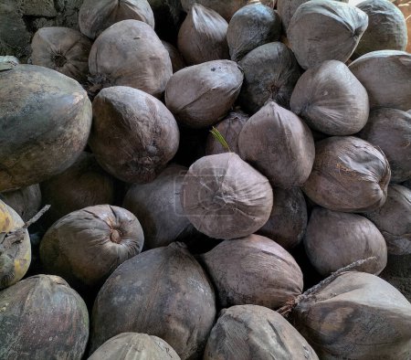 Pile of brown coconut coir husk. The background of coconut fiber, coconut fiber has many benefits. Selective focus.