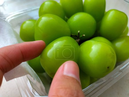 Concentration sélective. Une boîte de raisins verts sans pépins américains emballés dans une boîte en plastique transparent, sur un fond blanc. Indonésie.