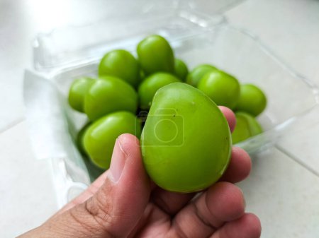Concentration sélective. Une boîte de raisins verts sans pépins américains emballés dans une boîte en plastique transparent, sur un fond blanc. Indonésie.