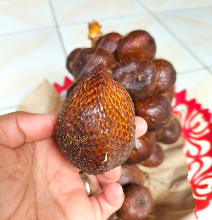 Typical fruit from indonesia and has a sweet taste. A bunch of fruit with scales resembling a snake it is called snakefruit. Selective focus.