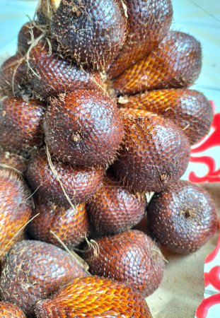 Typical fruit from indonesia and has a sweet taste. A bunch of fruit with scales resembling a snake it is called snakefruit. Selective focus.