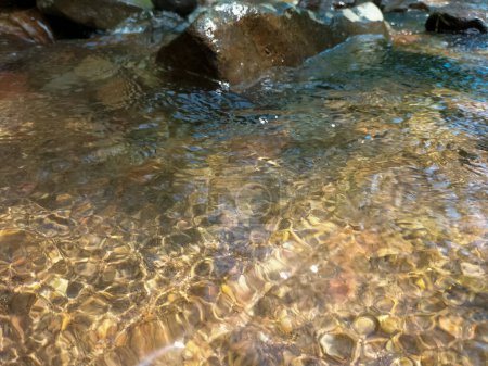 El hermoso arroyo de agua natural con rocas en el bosque tropical poco agua cascada de montaña que fluye y piedra de agua clara en el río de montaña con árbol. Montaña Ungaran. Países Bajos.