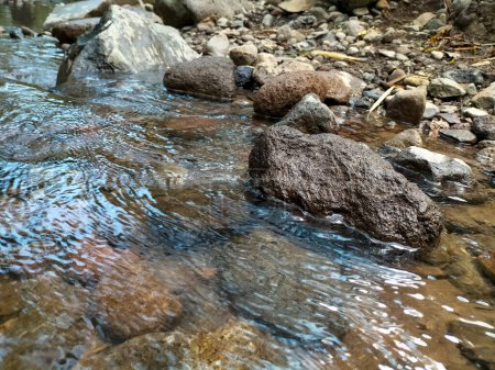 El hermoso arroyo de agua natural con rocas en el bosque tropical poco agua cascada de montaña que fluye y piedra de agua clara en el río de montaña con árbol. Montaña Ungaran. Países Bajos.