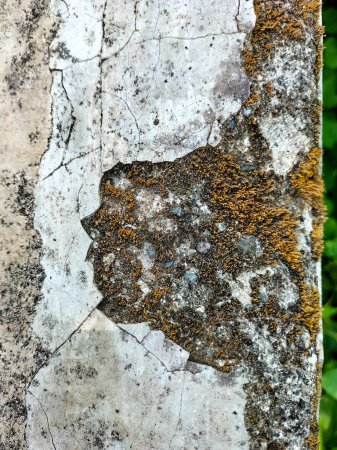 Foto de Vista de cerca de la textura surfaace de hormigón sucio. Patrón de grieta y piedra sucia. - Imagen libre de derechos