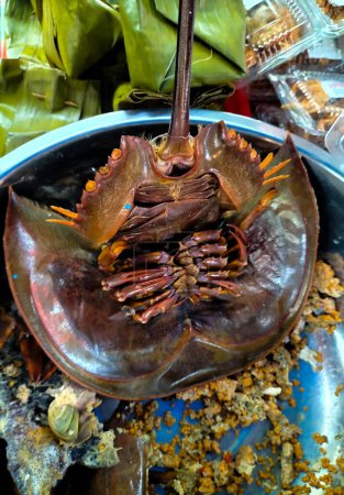 Selektiver Fokus. Hufeisenkrabbeneier in Schlag auf dem Tisch.Hufeisenkrabbeneier würziger Salat. Zuhälterei-Salat. Indonesien lokale Meeresfrüchte. Leckeres Essen.