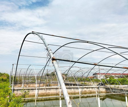 Photo of Swamp eel farm. The Swamp eel is culture in closed tank system at farm. Aquaculture concept. Selective focus.
