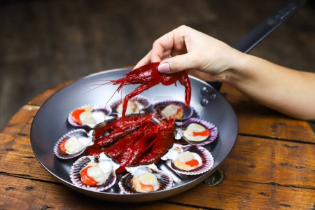 Photo for Serving suggestion of premium spanish sea food- red shrimps Camarones Rojo and scallopes Zamburinas served on a pan and hand - Royalty Free Image
