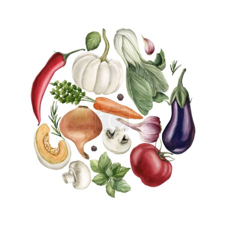 Téléchargez les photos : Légumes frais colorés délicieux disposés en cercle. Illustration aquarelle peinte à la main isolée sur fond blanc pour la conception, affiche, carte, emballage, tissu, textile - en image libre de droit