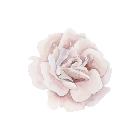 Photo for Pink rose hip flower. Floral watercolor illustration hand painted isolated on white background. Perfect for invitations, greeting cards, posters, labels, wallpapers, wrappers, fabrics, textile, backgrounds and web design. - Royalty Free Image