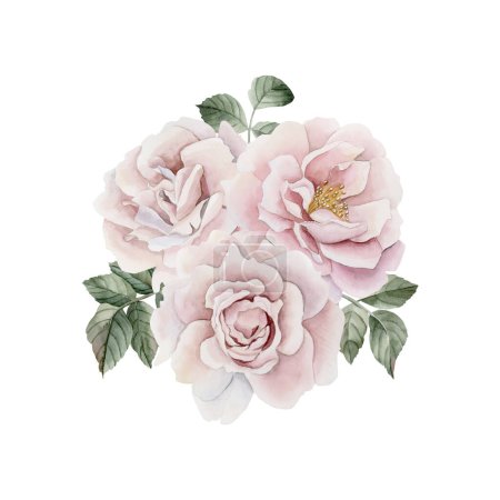 Photo for Composition of pink rose hip flowers with leaves, Victorian style rose. Floral watercolor illustration hand painted isolated on white background. Perfect for invitation, greeting cards, posters, labels, wallpapers, wrappers, fabrics, textile - Royalty Free Image