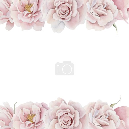Photo for Frame of pink rose hip flowers. Victorian style rose. Floral watercolor illustration hand painted isolated on white background. Perfect for invitation, greeting cards, posters, labels, wallpapers, wrappers, fabrics, textile - Royalty Free Image