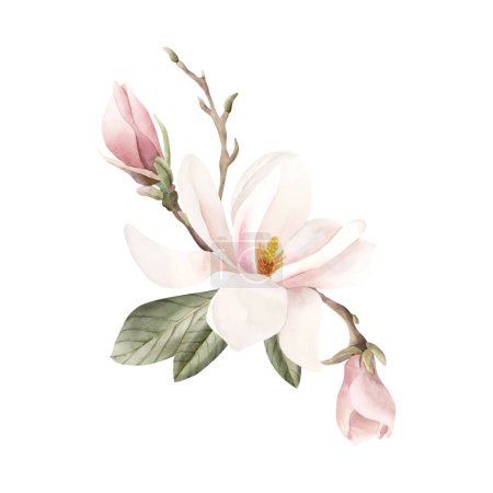 Foto de Composición de flor de magnolia rosa claro, brotes, ramitas y hojas. Acuarela floral ilustración pintada a mano aislada sobre fondo blanco. Flor de primavera para imprimir, etiquetar o empaquetar cosméticos. Excelente en la decoración del hogar. - Imagen libre de derechos