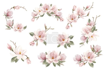 Foto de Conjunto de composiciones con flores de magnolia rosa claro, brotes, ramitas y hojas. Acuarela floral ilustración pintada a mano aislada en blanco. Arreglos de flor de primavera para impresión, etiqueta o logotipo. - Imagen libre de derechos
