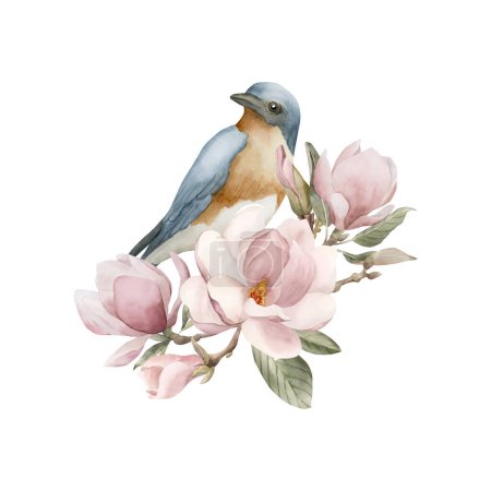 Téléchargez les photos : Oiseau bleu sur une branche avec des fleurs de magnolia rose clair. Aquarelle illustration peinte à la main isolée sur fond blanc. Composition fleur de printemps pour impression, étiquette, logo ou emballage cosmétique. - en image libre de droit