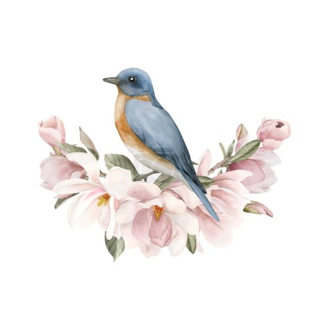 Foto de Pájaro azul en una rama con flores de magnolia rosa claro. Acuarela ilustración pintada a mano aislada sobre fondo blanco. Composición en flor de primavera para impresión, etiqueta, logotipo o embalaje cosmético. - Imagen libre de derechos