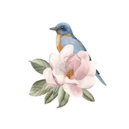 Photo for Blue bird on a branch with light pink magnolia flowers. Watercolor illustration hand painted isolated on white background. Spring blossom composition for print, label, logo or cosmetic packaging. - Royalty Free Image