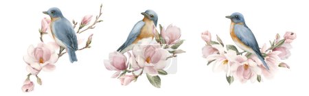 Foto de Pájaros azules en ramas con flores de magnolia rosa claro. Conjunto de ilustraciones de acuarela pintadas a mano aisladas sobre fondo blanco. Composición en flor de primavera para impresión, etiqueta, logotipo o embalaje. - Imagen libre de derechos