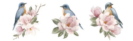 Téléchargez les photos : Oiseaux bleus sur des branches avec des fleurs de magnolia rose clair. Ensemble d'illustrations aquarelles peintes à la main isolées sur fond blanc. Composition fleur de printemps pour impression, étiquette, logo ou emballage. - en image libre de droit