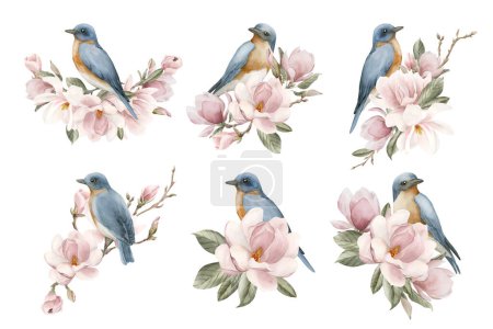 Foto de Pájaros azules en ramas con flores de magnolia rosa claro. Conjunto de ilustraciones de acuarela pintadas a mano aisladas sobre fondo blanco. Composición en flor de primavera para impresión, etiqueta, logotipo o embalaje. - Imagen libre de derechos