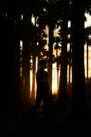 Photo for Silhouette of a man standing among the group of palm trees - Royalty Free Image