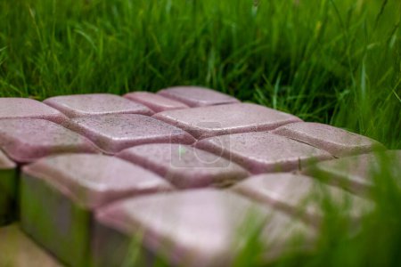 Bricks. Paving tiles. Colored stones. Texture of paving tiles. Cement products. Sidewalk in grass. Tile with embedded metal. 